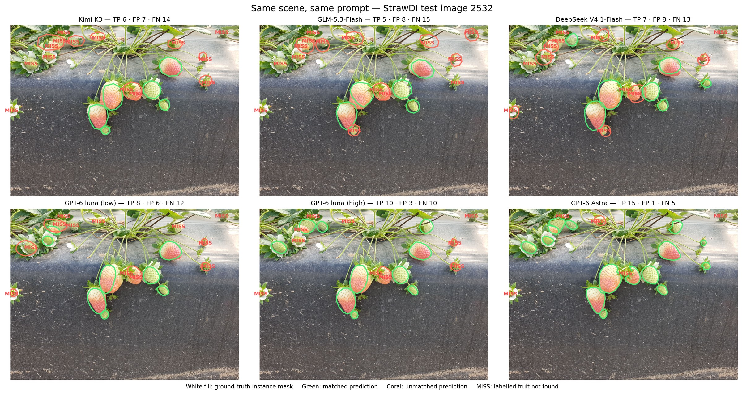 The six models' segmentation output on the same crowded strawberry scene, StrawDI test image 2532.