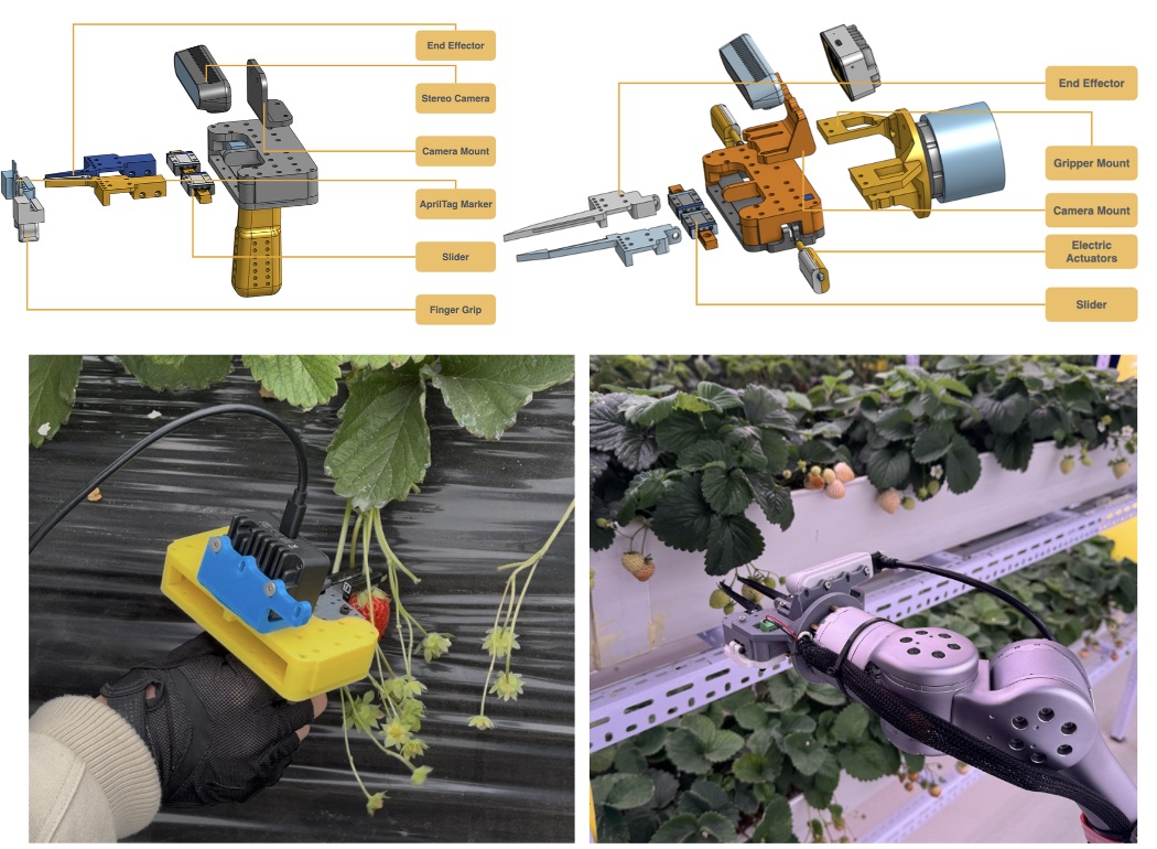 Strawberry Robotic Operation Interface